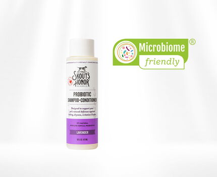 Probiotic Shampoo + Conditioner 2 in 1 Lavender