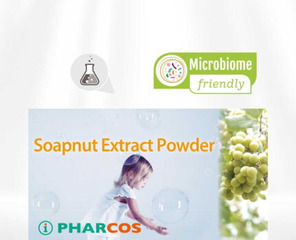 Soapnut Extract Powder