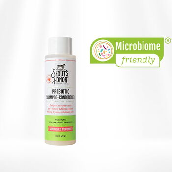 Probiotic Shampoo + Conditioner 2 in 1 Sunkissed Coconut