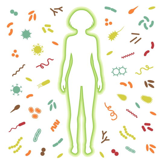 Menschliches Mikrobiom