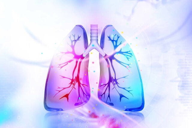 The lung microbiome