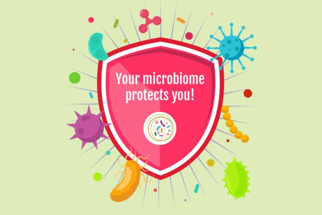 Your microbiome protects you!