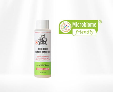 Probiotic Shampoo + Conditioner 2 in 1 Sunkissed Coconut