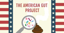 the american gut project
