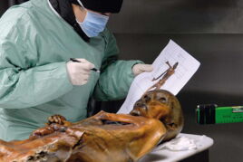 Ötzi skeleton
