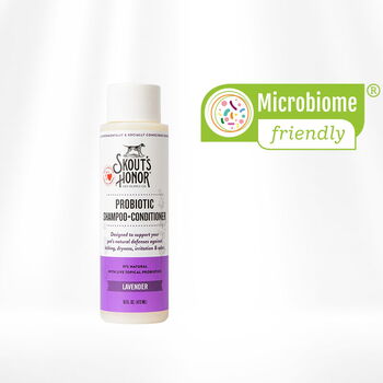 Probiotic Shampoo + Conditioner 2 in 1 Lavender