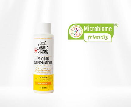 Probiotic Honeysuckle Shampoo-Conditioner