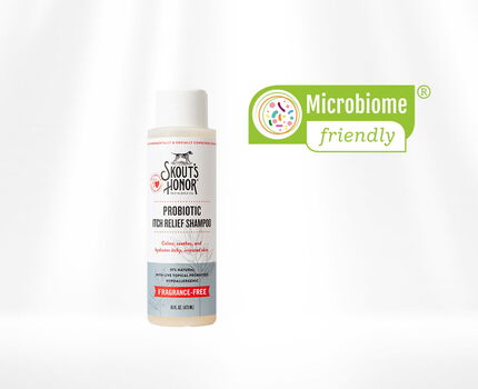 Probiotic Itch Relief Shampoo